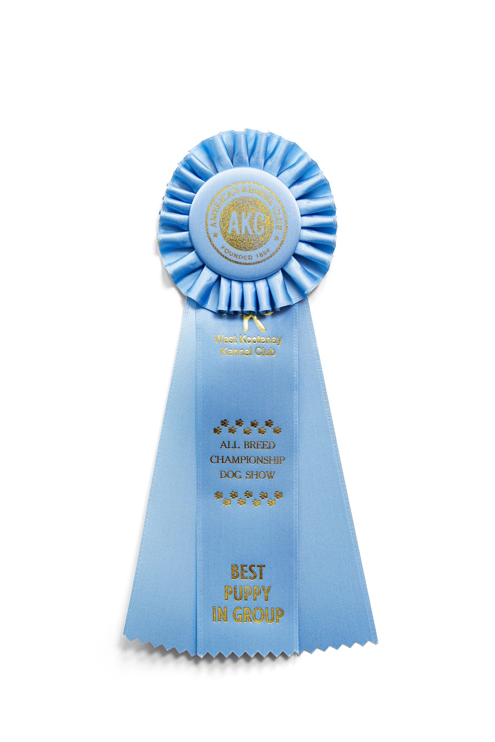 MR307 - Three Streamer Single Rosette (10.5" Overall)