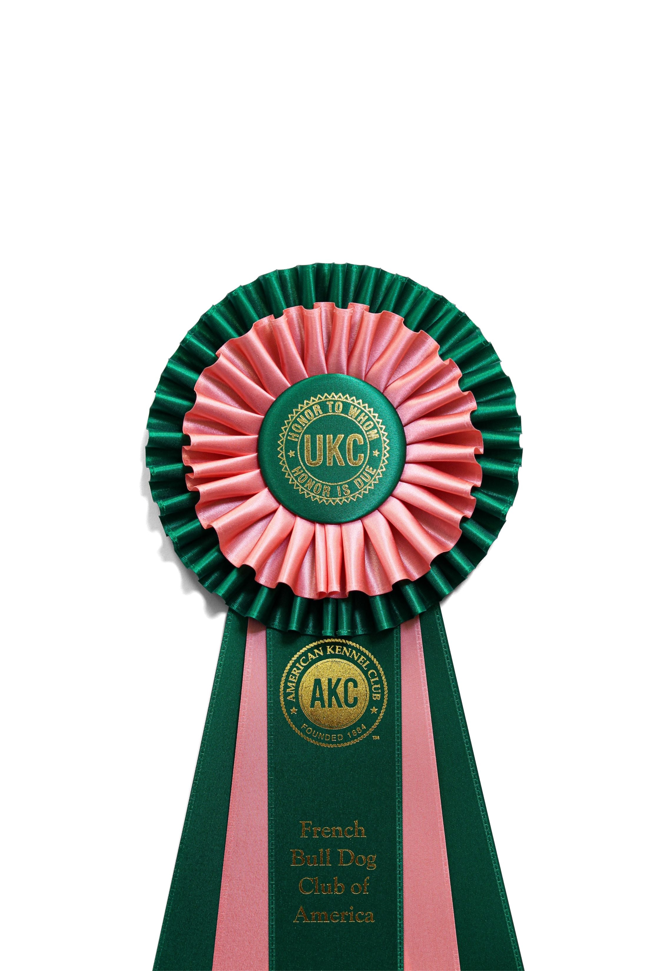 205 - Double Pleat Five Streamer Rosette (17" Overall)