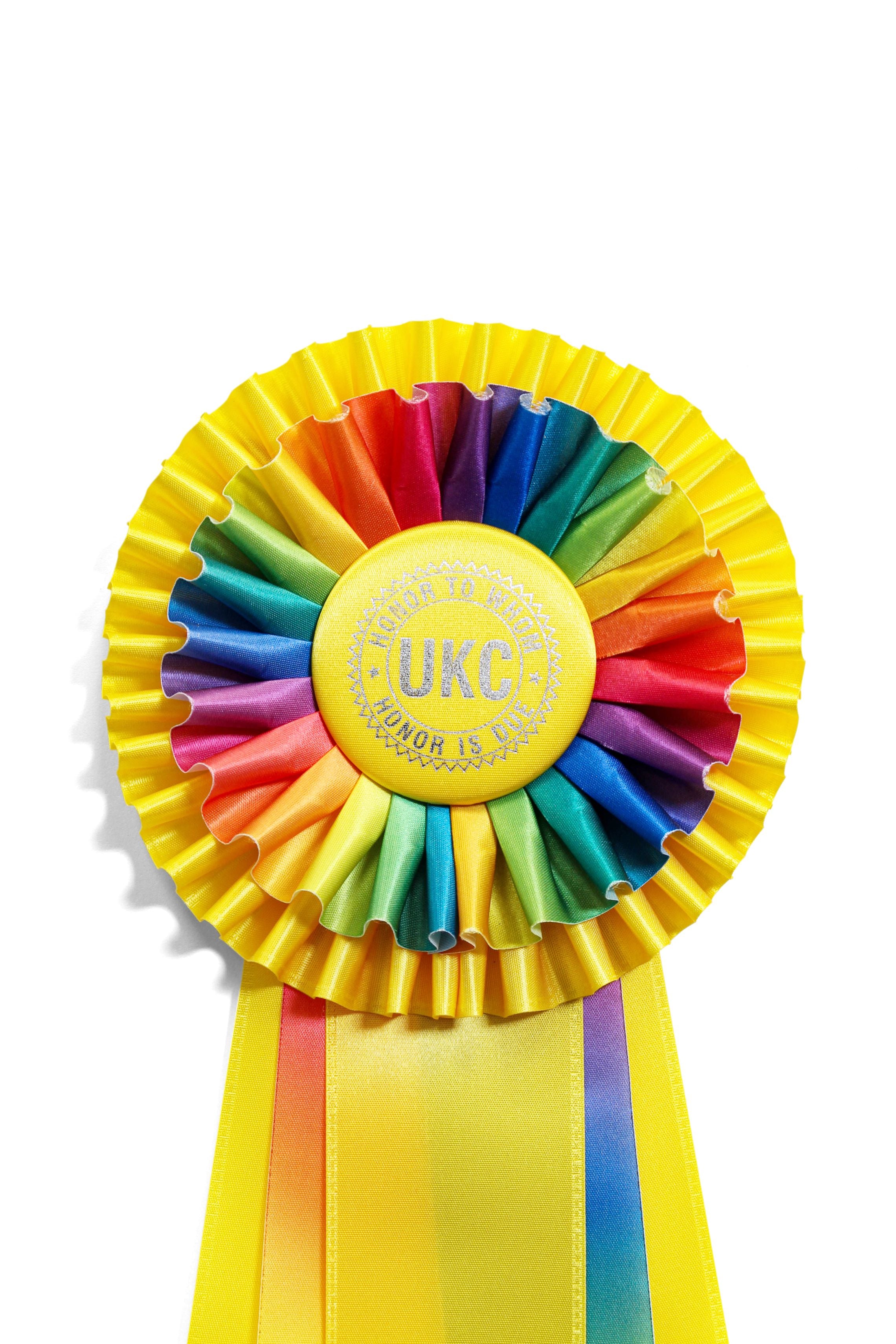 205A - Extra Long Five Streamer Double Pleat Rosette (21" Overall)