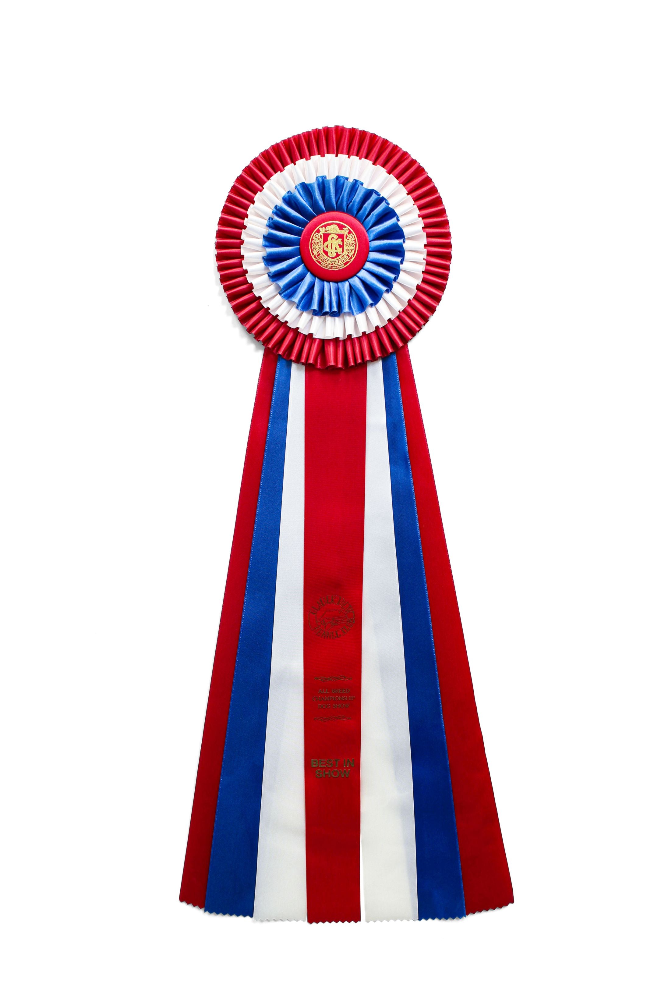 307 - Triple Pleat Seven Streamer Rosette (28" Overall)